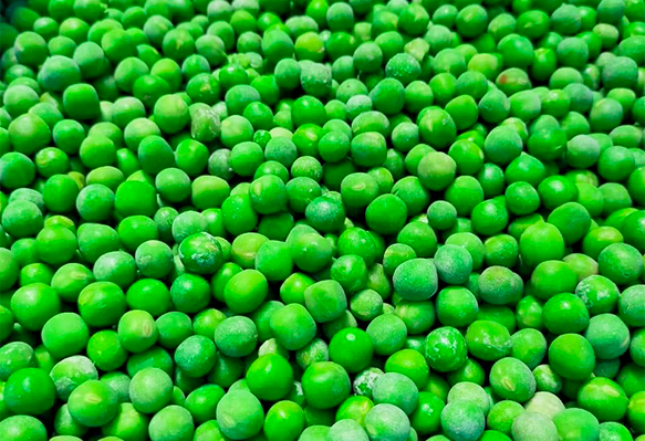Green Peas-big-1